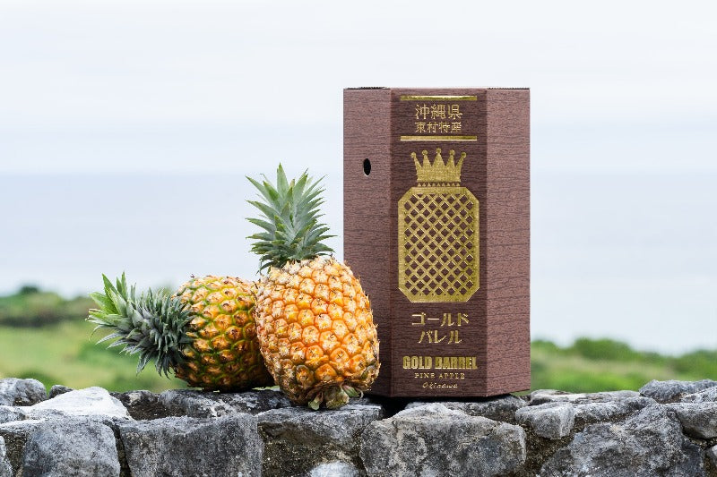 大好評!今年も東村産パイナップル『ゴールドバレル』の予約販売を開始しました!