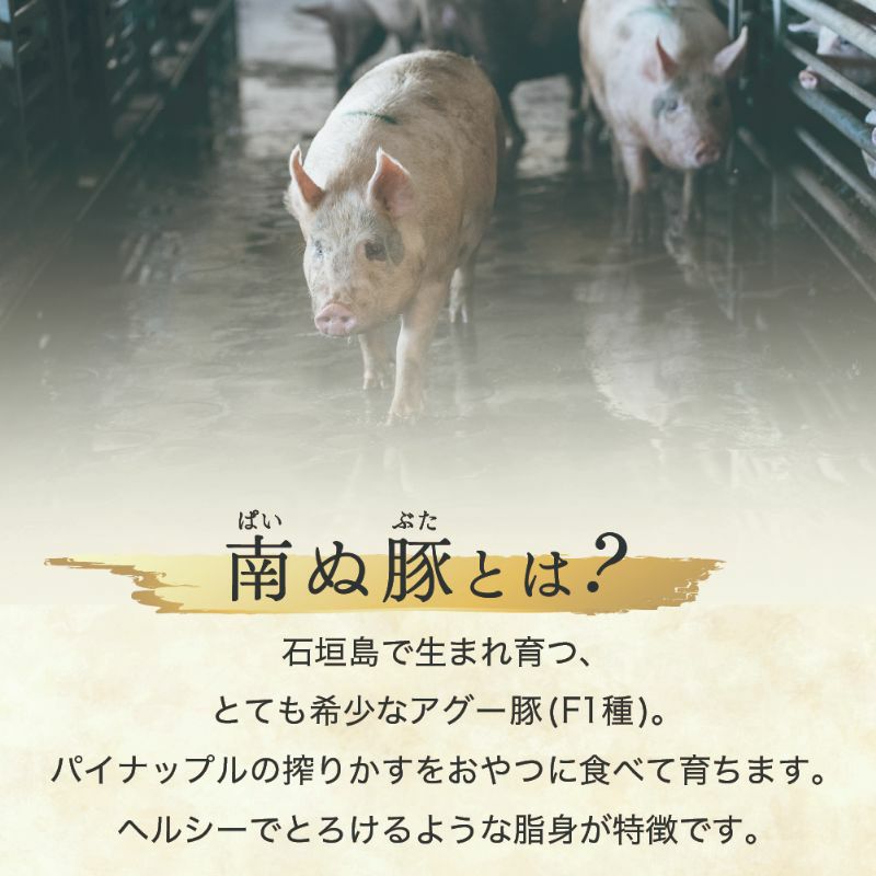 【ギフト】石垣牛・南ぬ豚(アグー豚)のしゃぶしゃぶセット(大)|~島の恵みを味わう贅沢なしゃぶしゃぶ~