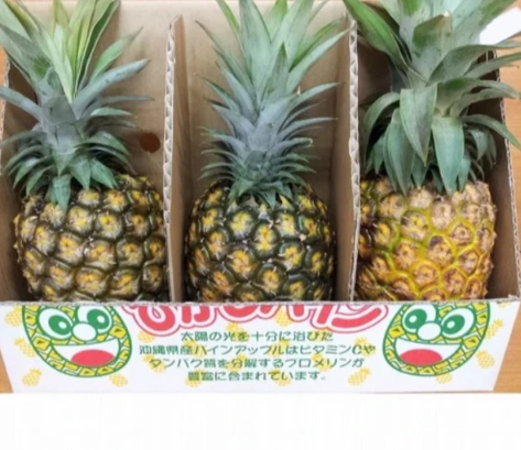 お中元やギフトに最適!沖縄県東村産の人気フルーツ、パイナップル「ゴールドバレル」3玉セットを贈りませんか?<数量限定・送料込・配送日指定対応不可>