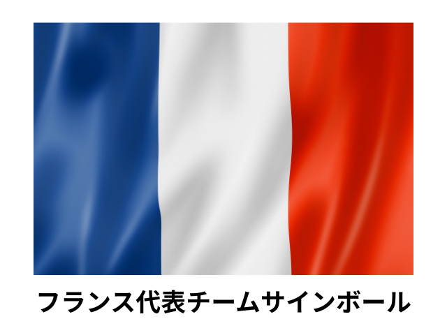 【世界バレーフランス代表チーム】バレーボールファン必見!フランス代表選手直筆サイン入り公式練習球<送料込み>|フランス対ブラジル バレーボール親善試合