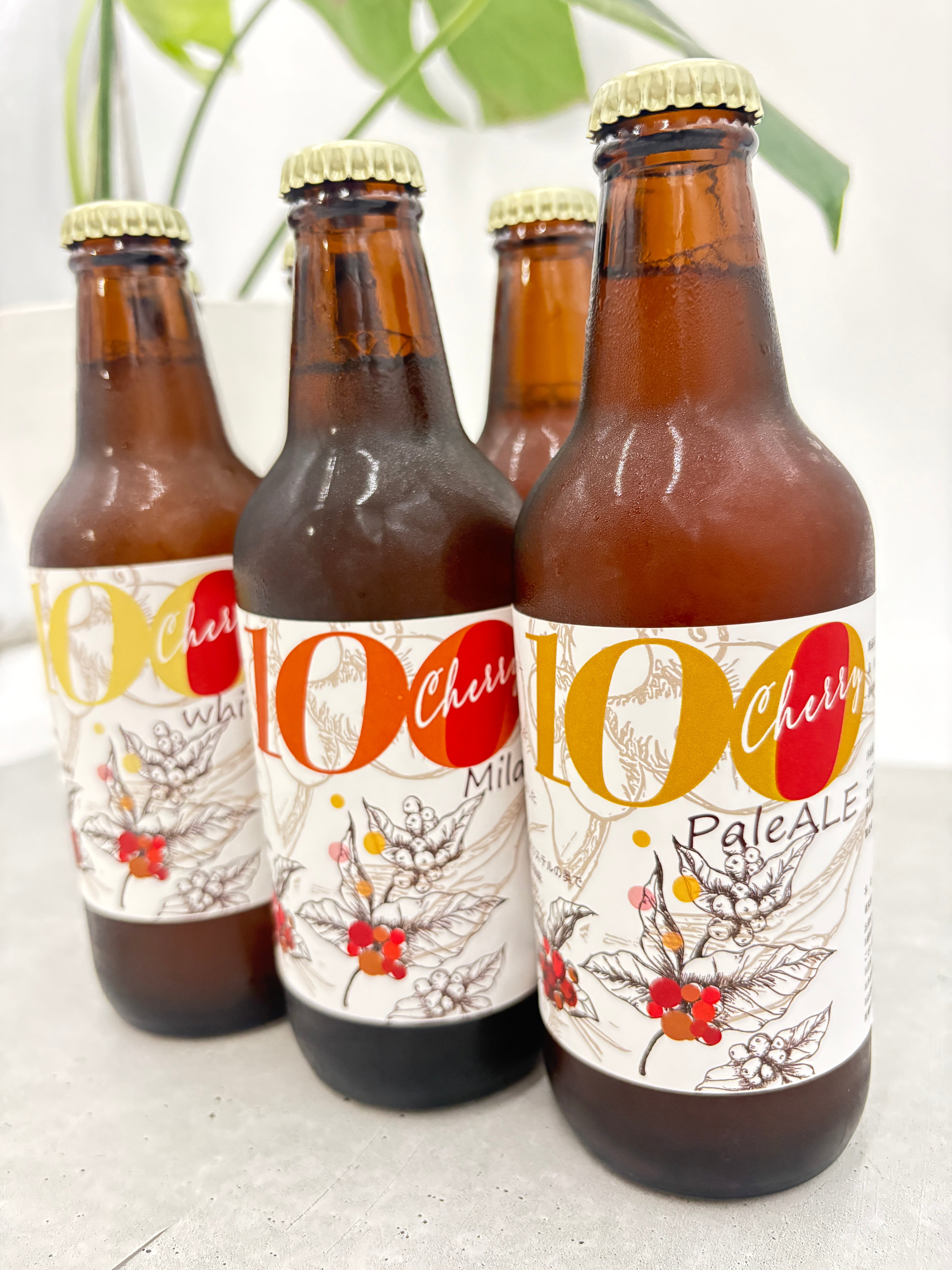 世界初!コーヒーチェリーをアップサイクルしたクラフトビール|すべての味を飲み比べ(3種類6本セット)