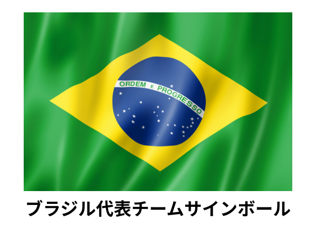 【世界バレーブラジル代表チーム】バレーボールファン必見!ブラジル代表選手直筆サイン入り公式練習球<送料込み>|フランス対ブラジル バレーボール親善試合