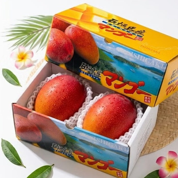 <数量限定・送料込・配送日指定対応不可>石垣島産 完熟マンゴー 約1kg(2~3玉)
