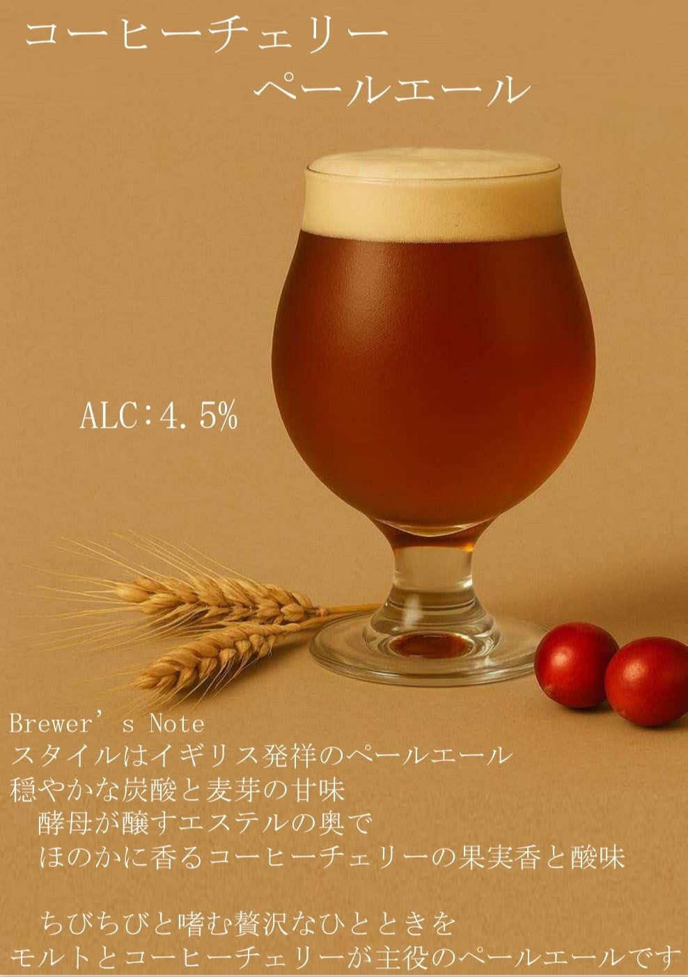 世界初!コーヒーチェリーをアップサイクルしたクラフトビール|すべての味を飲み比べ(3種類6本セット)