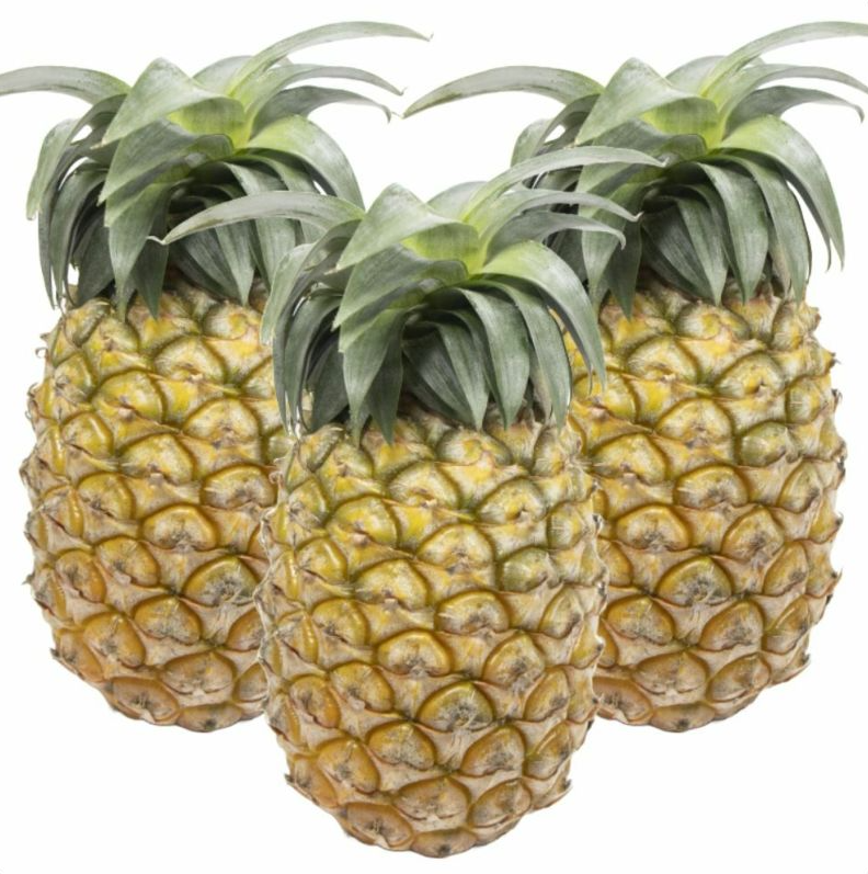 <数量限定・送料込・配送日指定対応不可>石垣の太陽と風が育てた、極上の甘酸っぱさ・石垣島産パイナップル・ハワイ種種 約2.8kg(2~4玉) 〈常温〉|やえやまファーム