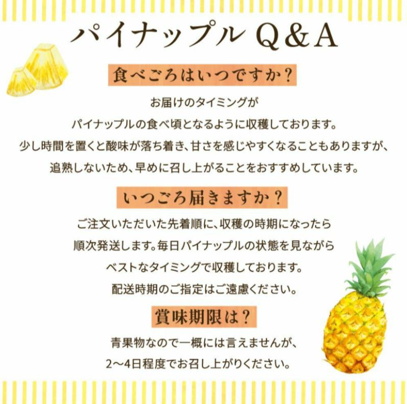 <数量限定・送料込・配送日指定対応不可>石垣の太陽と風が育てた、極上の甘酸っぱさ・石垣島産パイナップル・ハワイ種種 約2.8kg(2~4玉) 〈常温〉|やえやまファーム
