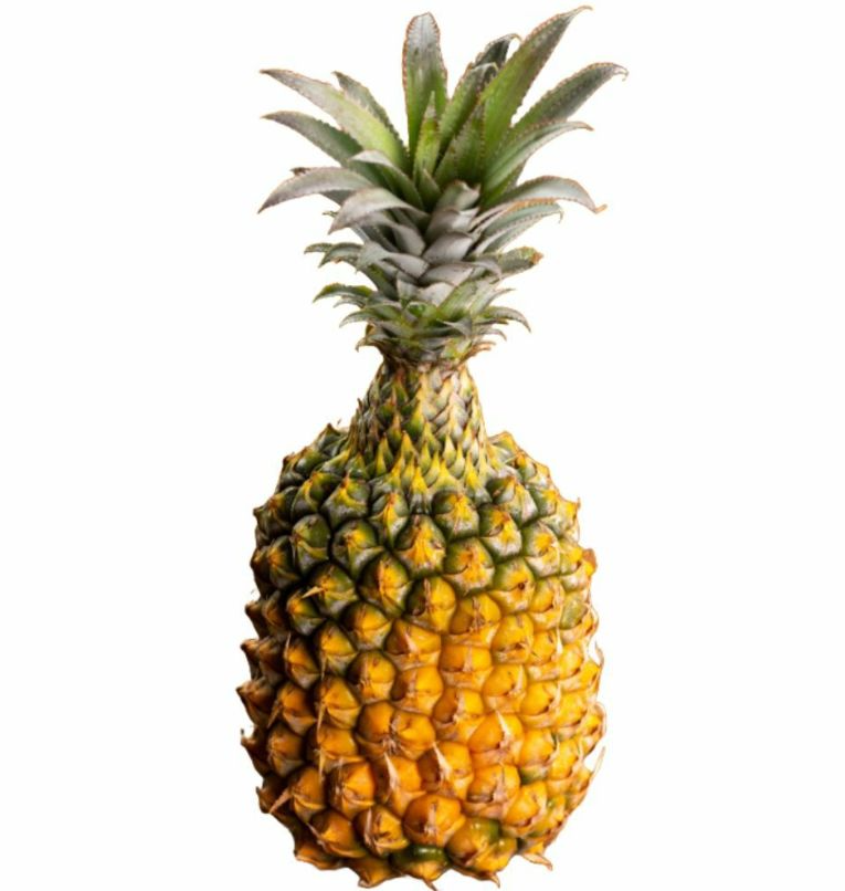 <数量限定・送料込・配送日指定対応不可>石垣の恵みを、手軽にパクリ。ちぎって食べる島パイン・石垣島産スナックパイン ボゴール種 約1kg(1~2玉) 〈常温〉|やえやまファーム