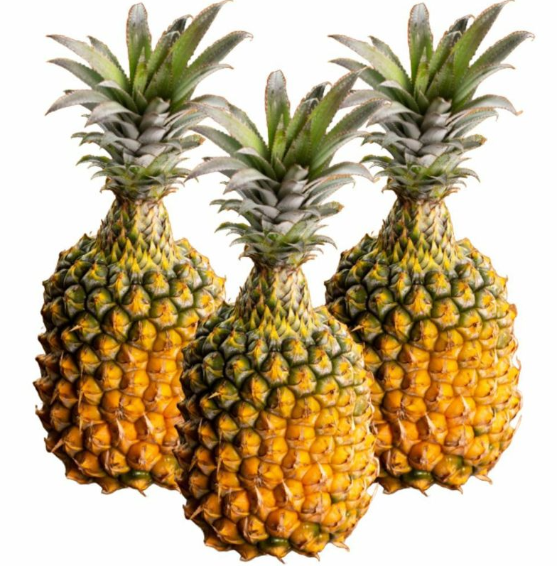 <数量限定・送料込・配送日指定対応不可>石垣の恵みを、手軽にパクリ。ちぎって食べる島パイン・石垣島産スナックパイン ボゴール種 約2.8kg(2~4玉) 〈常温〉|やえやまファーム