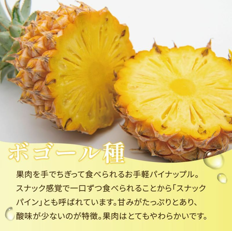<数量限定・送料込・配送日指定対応不可>石垣の恵みを、手軽にパクリ。ちぎって食べる島パイン・石垣島産スナックパイン ボゴール種 約1kg(1~2玉) 〈常温〉|やえやまファーム