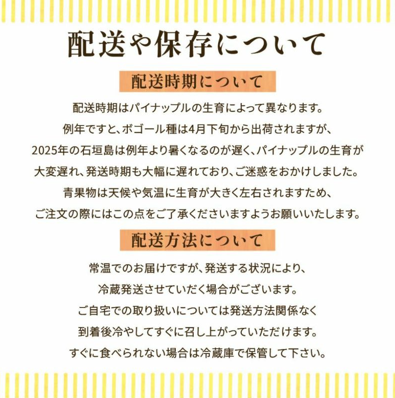 <数量限定・送料込・配送日指定対応不可>石垣の恵みを、手軽にパクリ。ちぎって食べる島パイン・石垣島産スナックパイン ボゴール種 約2.8kg(2~4玉) 〈常温〉|やえやまファーム