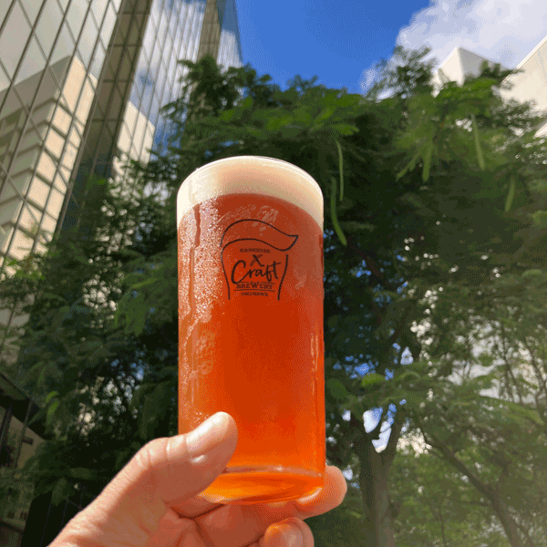 【ギフト】【お酒】KANEHIDE CRAFT BREWERY クラフトビール5本ギフトセット