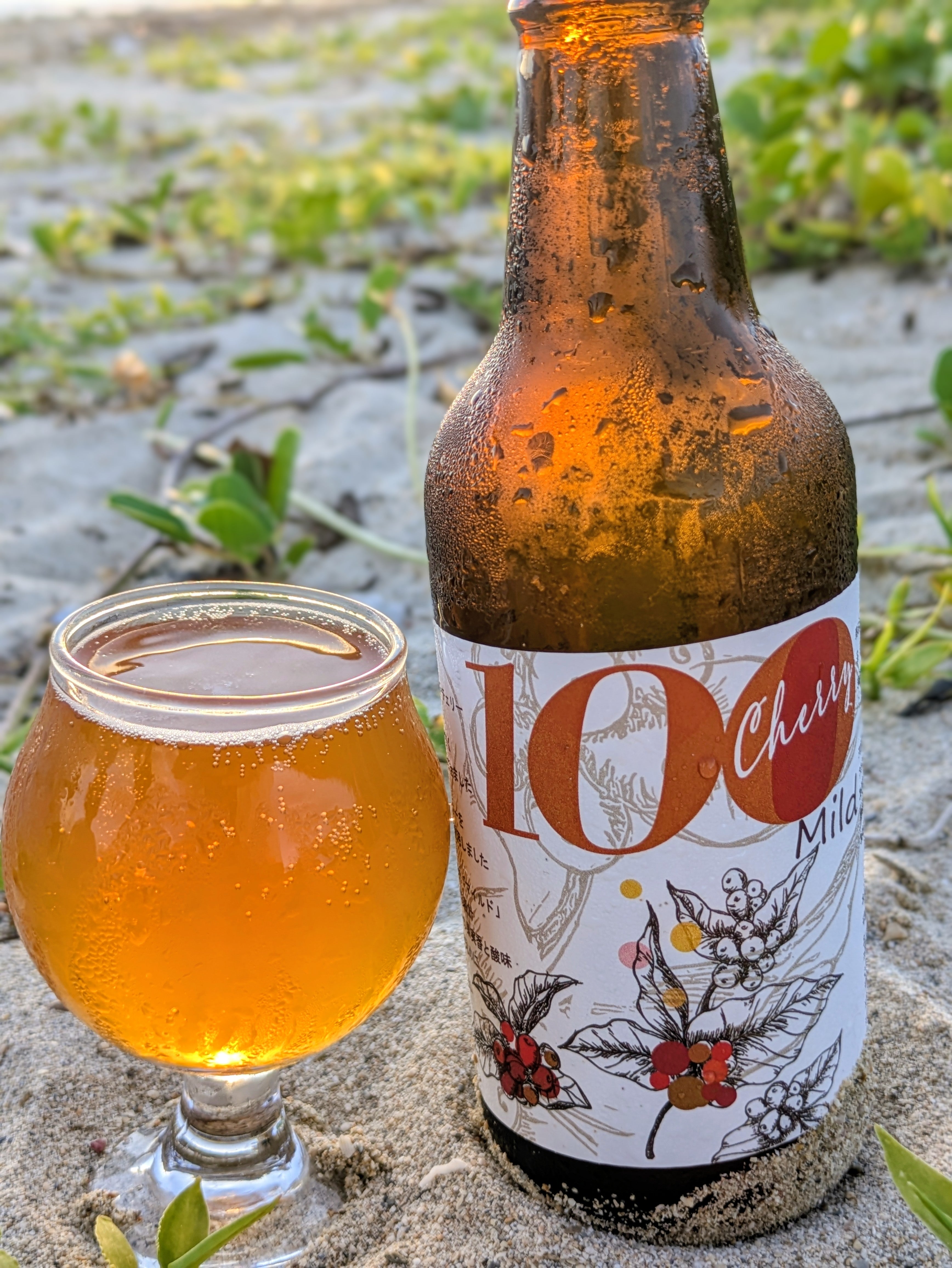 世界初!コーヒーチェリーをアップサイクルしたクラフトビール|すべての味を飲み比べ(3種類6本セット)