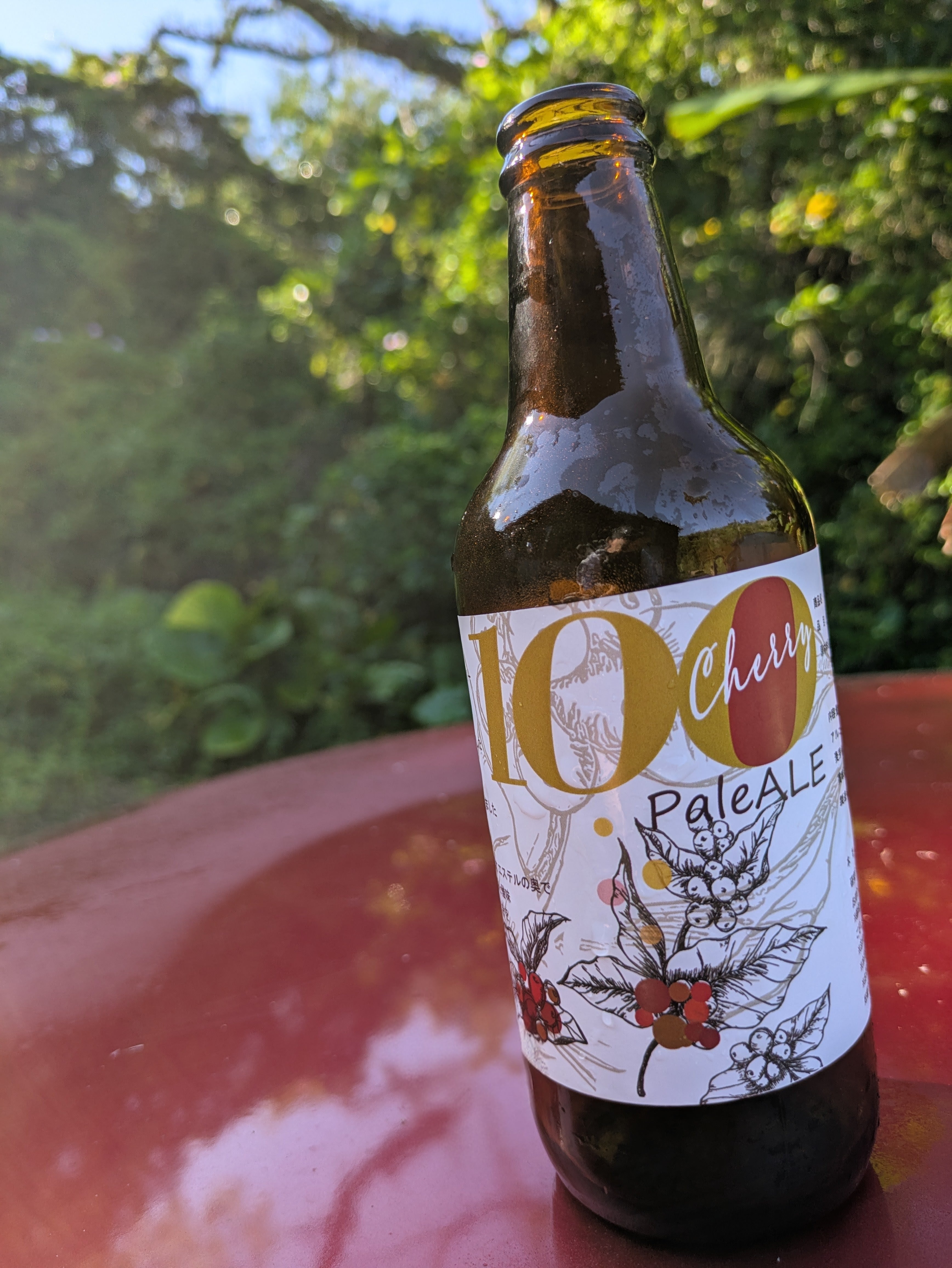 世界初!コーヒーチェリーをアップサイクルしたクラフトビール|すべての味を飲み比べ(3種類6本セット)