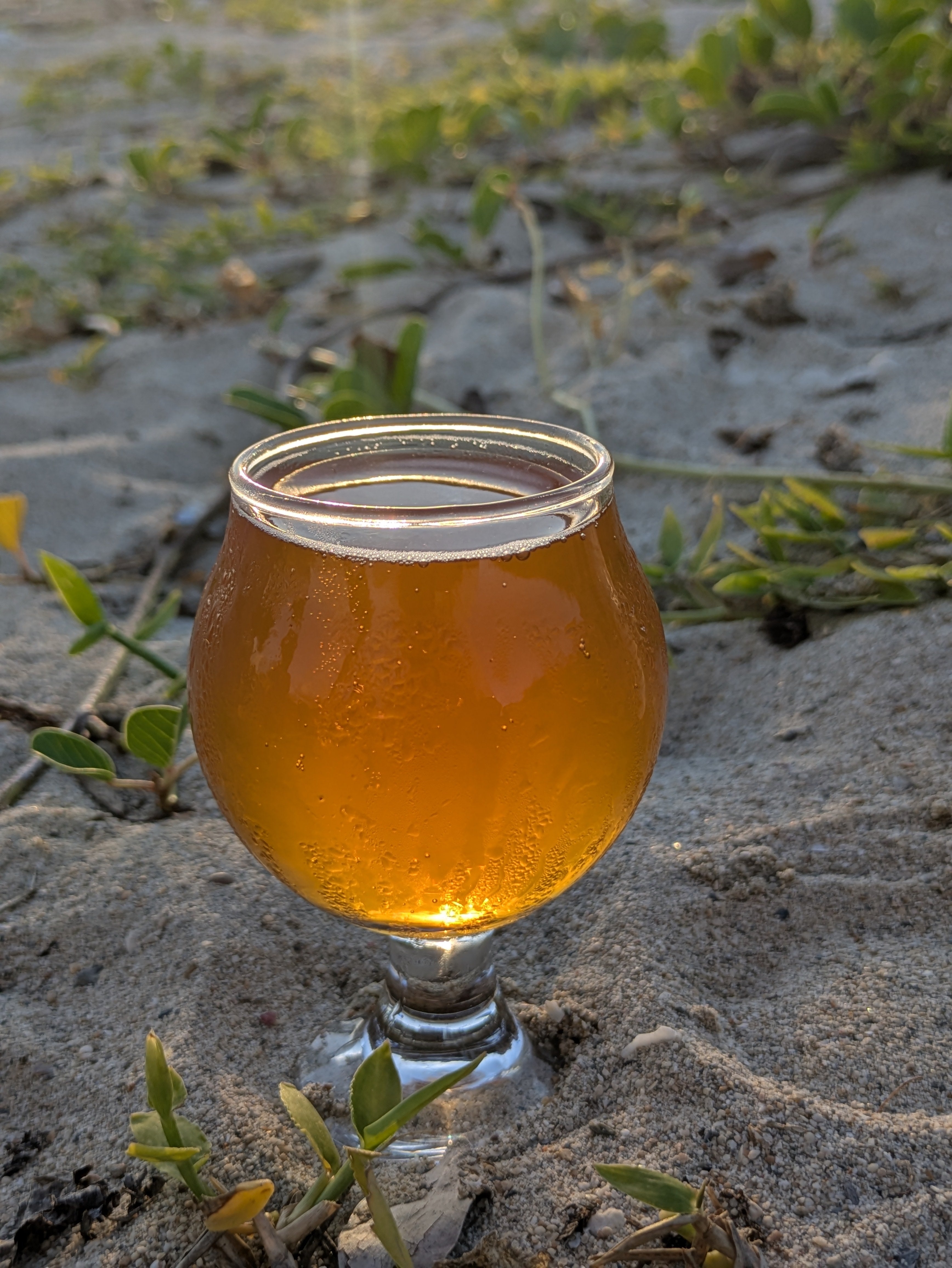 世界初!果実ビール|コーヒーチェリーが奏でる、芳醇なペールエール(6本セット)