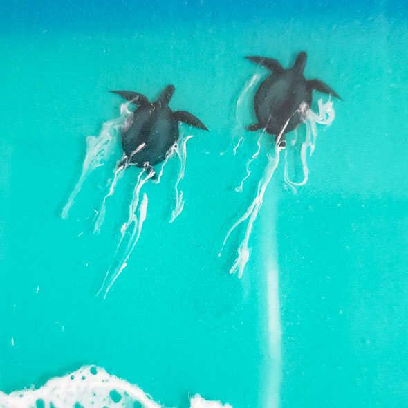 『SYOUTA OceanArt 』海レジンアート:沖縄のちゅら海を持ち帰ったような、海の琉球松♪(琉球ガラス入り)