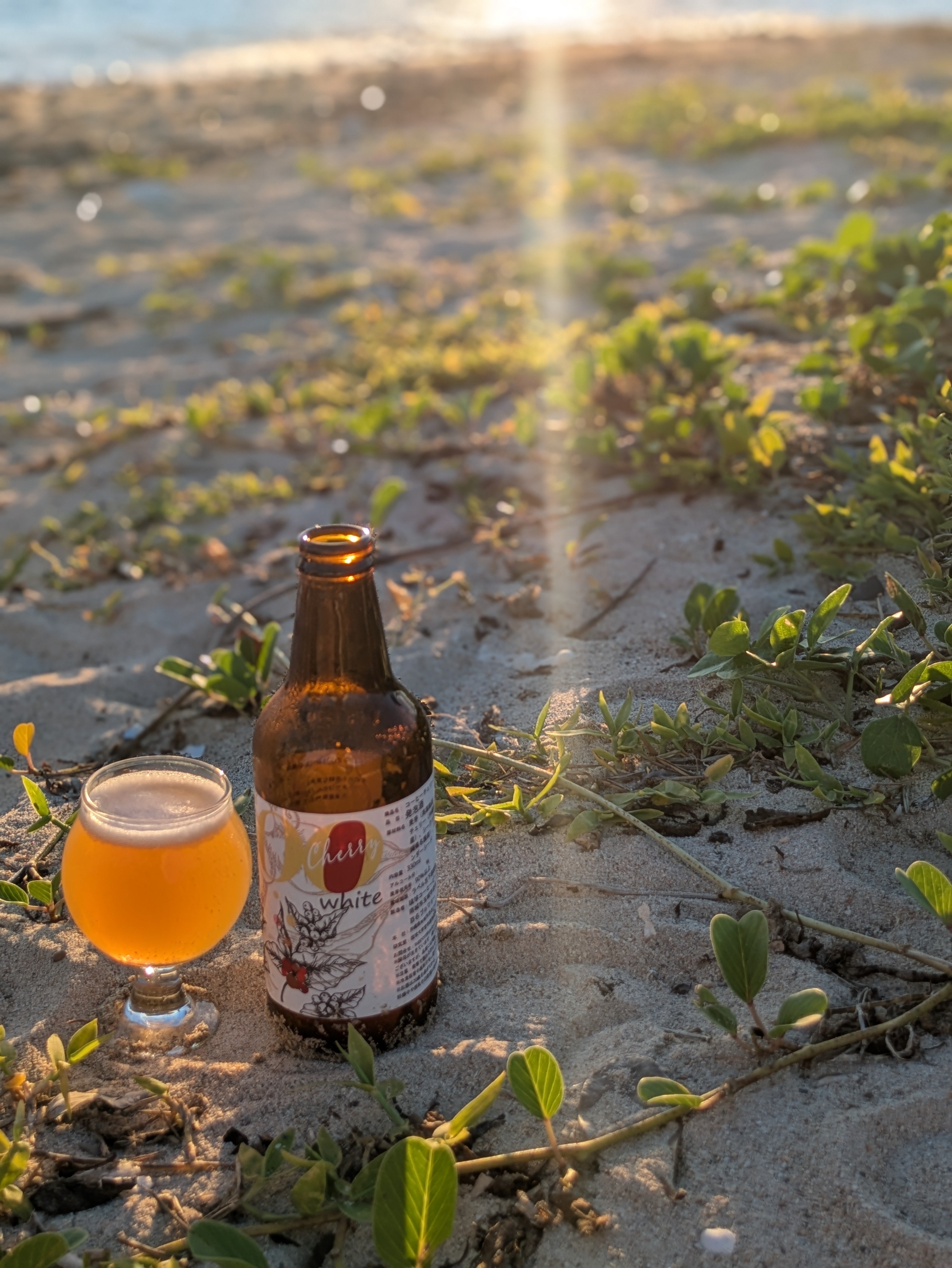 世界初!コーヒーチェリーをアップサイクルしたクラフトビール|すべての味を飲み比べ(3種類6本セット)