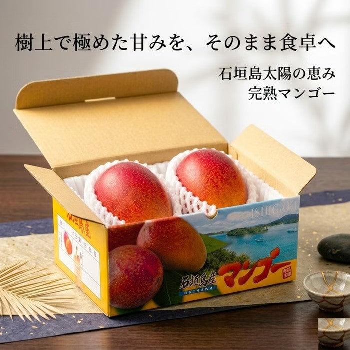 ＜数量限定・送料込・配送日指定対応不可＞石垣島産　完熟マンゴー　約1kg(２～３玉)