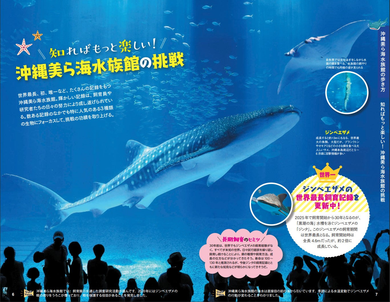 【 お一人様・1冊限定】沖縄美ら海水族館「水族館の歩き方BOOK」※抽選商品となります。(日時指定不可)