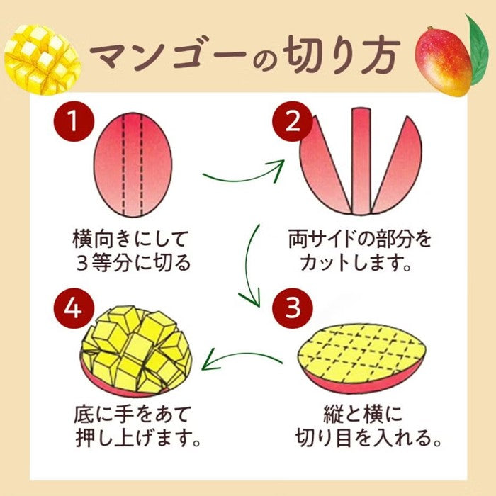 ＜数量限定・送料込・配送日指定対応不可＞石垣島産　完熟マンゴー　約1kg(２～３玉)