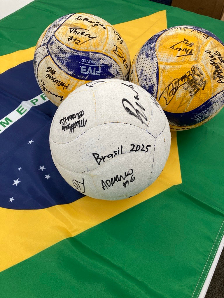 【世界バレーブラジル代表チーム】バレーボールファン必見！ブラジル代表選手直筆サイン入り公式練習球＜送料込み＞｜フランス対ブラジル　バレーボール親善試合