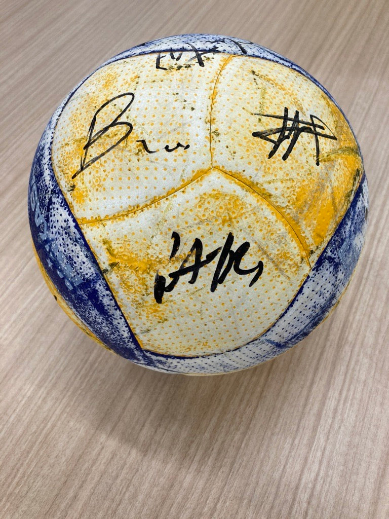 【世界バレーフランス代表チーム】バレーボールファン必見！フランス代表選手直筆サイン入り公式練習球＜送料込み＞｜フランス対ブラジル　バレーボール親善試合