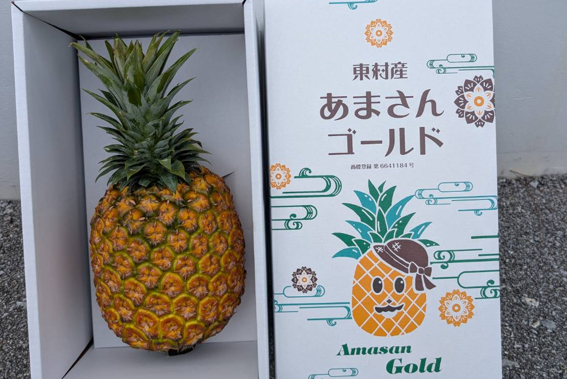 ＜数量限定・送料込・配送日指定対応不可＞あまさんゴールド(1玉) 〈常温〉｜ファームテックアキ