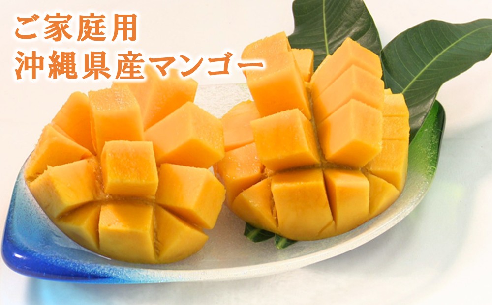 【ご家庭用・お買い得】沖縄県産マンゴー、外観にばらつきあり・中身は甘くて濃厚＜送料込・配送日指定対応不可＞」｜サンフルーツ糸満