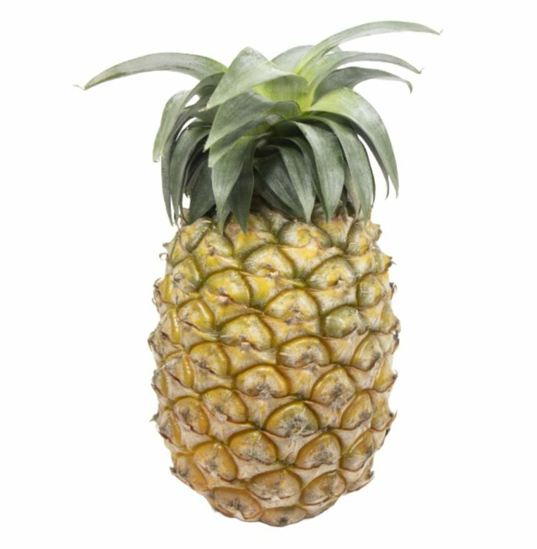 ＜数量限定・送料込・配送日指定対応不可＞石垣の太陽と風が育てた、極上の甘酸っぱさ・石垣島産パイナップル・ハワイ種種　約1kg(1～2玉) 〈常温〉｜やえやまファーム
