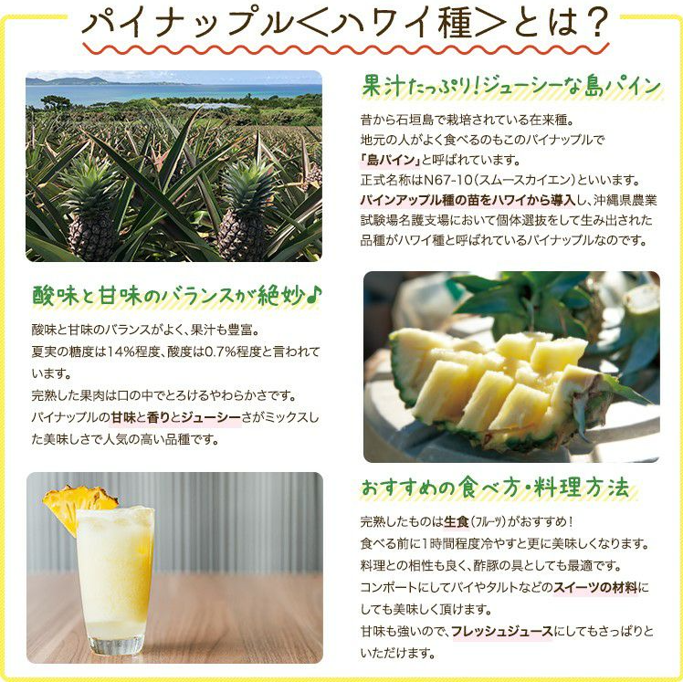 ＜数量限定・送料込・配送日指定対応不可＞石垣の太陽と風が育てた、極上の甘酸っぱさ・石垣島産パイナップル・ハワイ種種　約2.8kg(2～4玉) 〈常温〉｜やえやまファーム