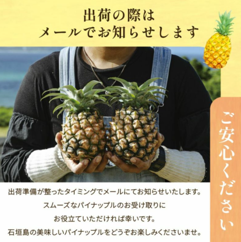 ＜数量限定・送料込・配送日指定対応不可＞石垣の太陽と風が育てた、極上の甘酸っぱさ・石垣島産パイナップル・ハワイ種種　約2.8kg(2～4玉) 〈常温〉｜やえやまファーム